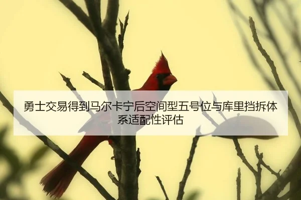yong-shi-jiao-yi-de-dao-ma-er-ka-ning-hou-kong-jian-xing-wu-hao-wei-yu-ku-li-dang-chai-ti-xi-shi-pei-xing-ping-gu-3-817.jpg